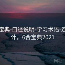 六合宝典-口径说明-学习术语-连号统计，6合宝典2021
