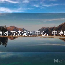 中特网-方法说明-中心，中特是啥