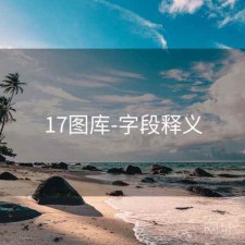 17图库-字段释义
